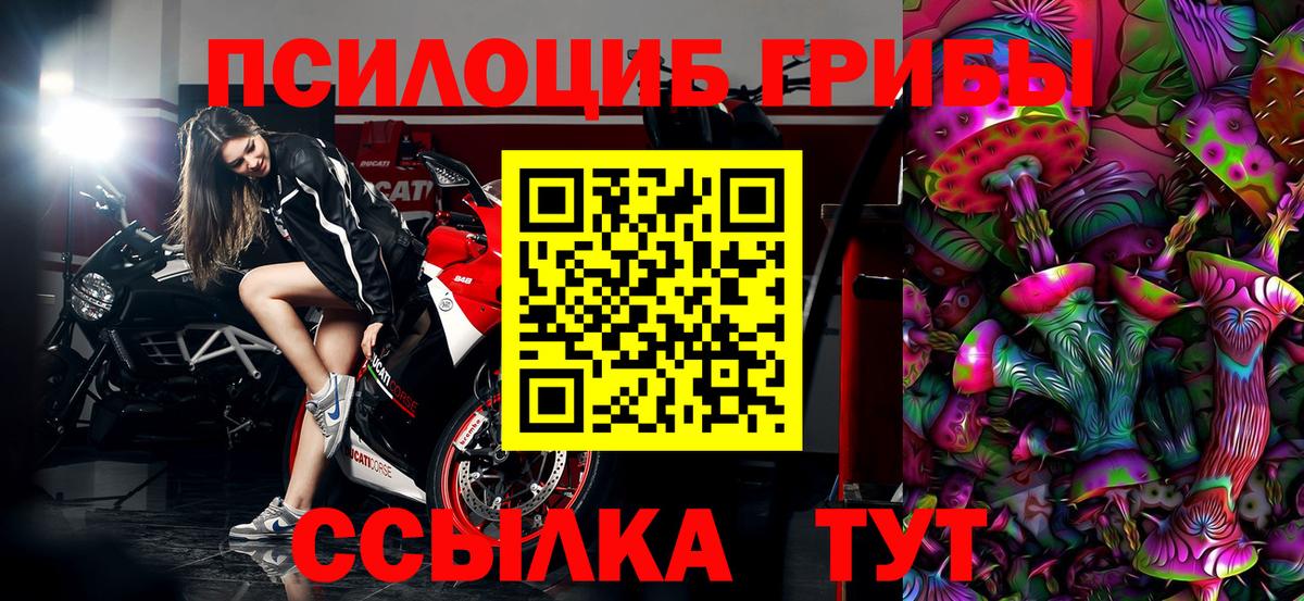 Галлюциногенные грибы Psilocybine cubensis  Вход с VPN  Галлюциногенные грибы Psilocybine cubensis  Заволжье 