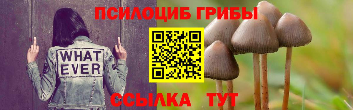 Галлюциногенные грибы GOLDEN TEACHER Заволжье